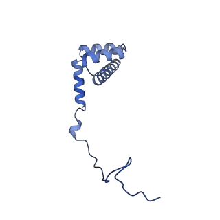 29273_8flb_LU_v1-2
Human nuclear pre-60S ribosomal subunit (State K2)