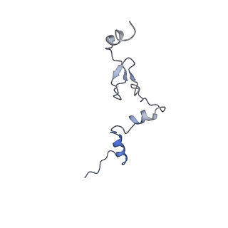 29273_8flb_LW_v1-2
Human nuclear pre-60S ribosomal subunit (State K2)