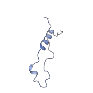 29273_8flb_LZ_v1-2
Human nuclear pre-60S ribosomal subunit (State K2)