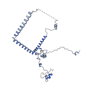 29273_8flb_NL_v1-2
Human nuclear pre-60S ribosomal subunit (State K2)