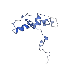 29273_8flb_NP_v1-2
Human nuclear pre-60S ribosomal subunit (State K2)