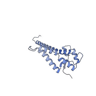29273_8flb_NR_v1-2
Human nuclear pre-60S ribosomal subunit (State K2)