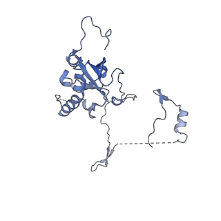 29273_8flb_SC_v1-2
Human nuclear pre-60S ribosomal subunit (State K2)