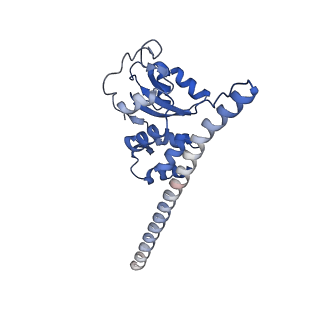 29273_8flb_SD_v1-2
Human nuclear pre-60S ribosomal subunit (State K2)