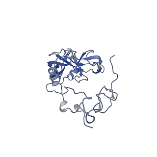 29273_8flb_SF_v1-2
Human nuclear pre-60S ribosomal subunit (State K2)