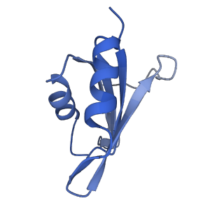 29273_8flb_SH_v1-2
Human nuclear pre-60S ribosomal subunit (State K2)