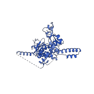 29273_8flb_SM_v1-2
Human nuclear pre-60S ribosomal subunit (State K2)