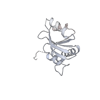 29273_8flb_SQ_v1-2
Human nuclear pre-60S ribosomal subunit (State K2)