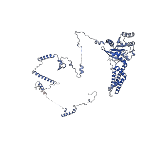 29273_8flb_SR_v1-2
Human nuclear pre-60S ribosomal subunit (State K2)