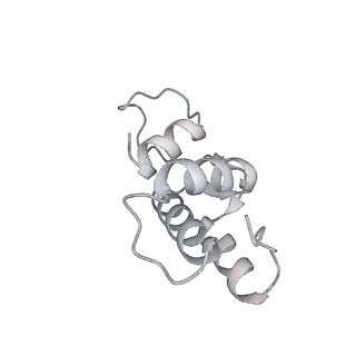 29274_8flc_BA_v1-2
Human nuclear pre-60S ribosomal subunit (State K3)