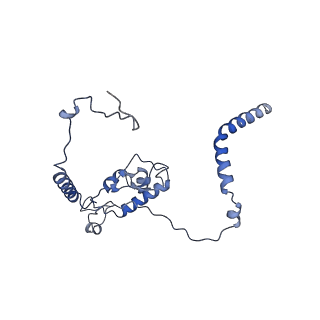29274_8flc_L6_v1-2
Human nuclear pre-60S ribosomal subunit (State K3)