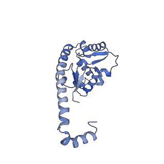 29274_8flc_L7_v1-2
Human nuclear pre-60S ribosomal subunit (State K3)