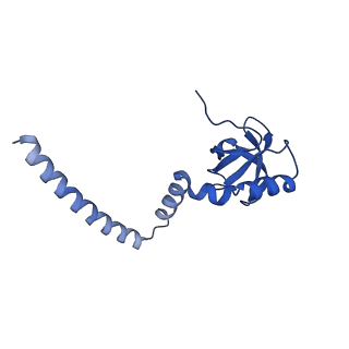 29274_8flc_L8_v1-2
Human nuclear pre-60S ribosomal subunit (State K3)