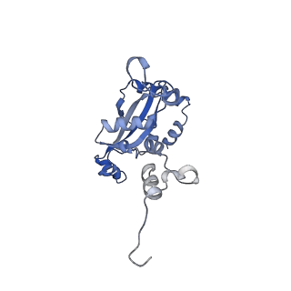 29274_8flc_L9_v1-2
Human nuclear pre-60S ribosomal subunit (State K3)
