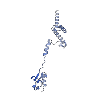 29274_8flc_LD_v1-2
Human nuclear pre-60S ribosomal subunit (State K3)