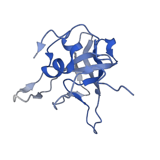 29274_8flc_LG_v1-2
Human nuclear pre-60S ribosomal subunit (State K3)