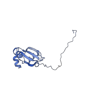 29274_8flc_LH_v1-2
Human nuclear pre-60S ribosomal subunit (State K3)