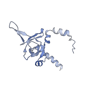 29274_8flc_LI_v1-2
Human nuclear pre-60S ribosomal subunit (State K3)