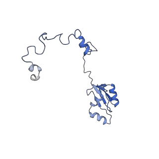 29274_8flc_LK_v1-2
Human nuclear pre-60S ribosomal subunit (State K3)