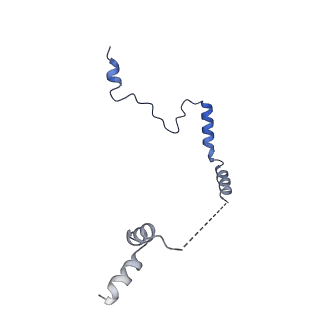 29274_8flc_LM_v1-2
Human nuclear pre-60S ribosomal subunit (State K3)