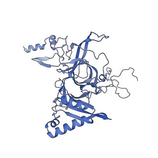 29274_8flc_LN_v1-2
Human nuclear pre-60S ribosomal subunit (State K3)