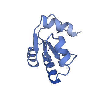 29274_8flc_LO_v1-2
Human nuclear pre-60S ribosomal subunit (State K3)