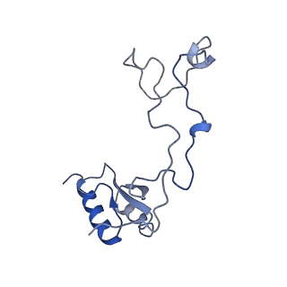 29274_8flc_LQ_v1-2
Human nuclear pre-60S ribosomal subunit (State K3)