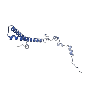 29274_8flc_LS_v1-2
Human nuclear pre-60S ribosomal subunit (State K3)