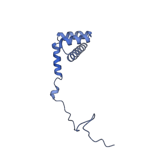 29274_8flc_LU_v1-2
Human nuclear pre-60S ribosomal subunit (State K3)