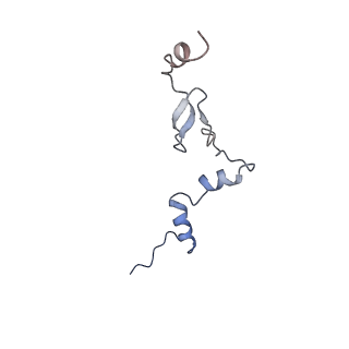 29274_8flc_LW_v1-2
Human nuclear pre-60S ribosomal subunit (State K3)