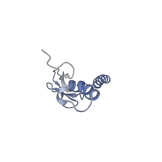 29274_8flc_LX_v1-2
Human nuclear pre-60S ribosomal subunit (State K3)