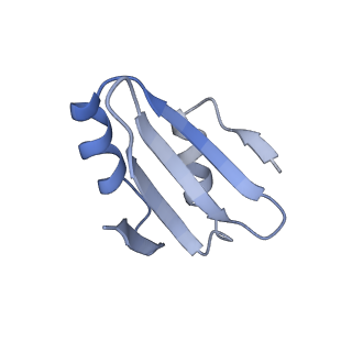 29274_8flc_LY_v1-2
Human nuclear pre-60S ribosomal subunit (State K3)