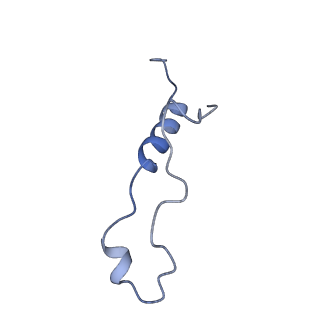 29274_8flc_LZ_v1-2
Human nuclear pre-60S ribosomal subunit (State K3)