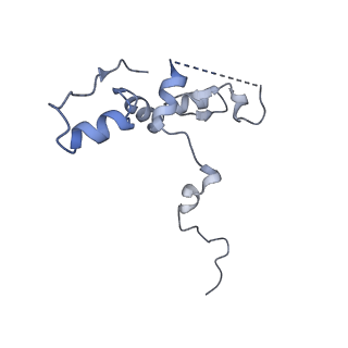 29274_8flc_NP_v1-2
Human nuclear pre-60S ribosomal subunit (State K3)