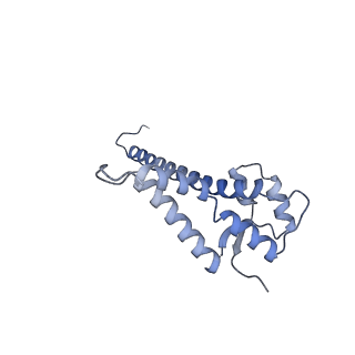 29274_8flc_NR_v1-2
Human nuclear pre-60S ribosomal subunit (State K3)