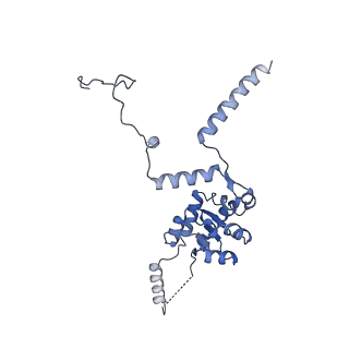 29274_8flc_SE_v1-2
Human nuclear pre-60S ribosomal subunit (State K3)