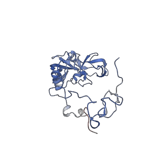 29274_8flc_SF_v1-2
Human nuclear pre-60S ribosomal subunit (State K3)