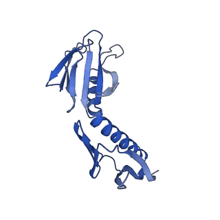29274_8flc_SG_v1-2
Human nuclear pre-60S ribosomal subunit (State K3)