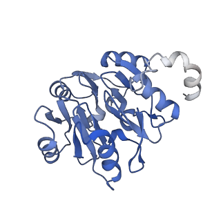 29274_8flc_SK_v1-2
Human nuclear pre-60S ribosomal subunit (State K3)