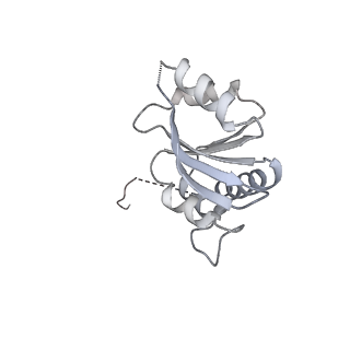 29274_8flc_SQ_v1-2
Human nuclear pre-60S ribosomal subunit (State K3)