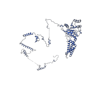 29274_8flc_SR_v1-2
Human nuclear pre-60S ribosomal subunit (State K3)
