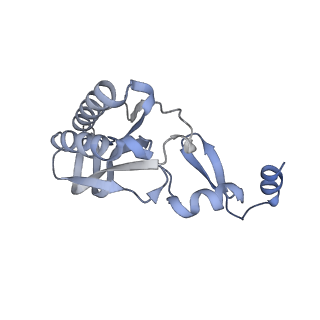 29275_8fld_BE_v1-0
Human nuclear pre-60S ribosomal subunit (State L1)