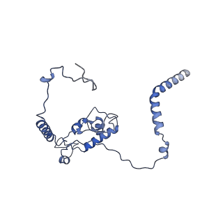 29275_8fld_L6_v1-0
Human nuclear pre-60S ribosomal subunit (State L1)