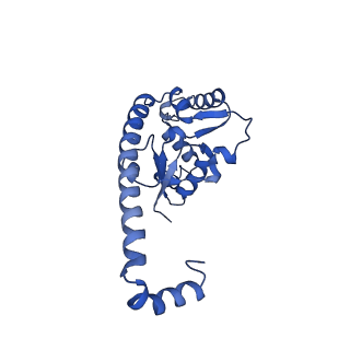 29275_8fld_L7_v1-0
Human nuclear pre-60S ribosomal subunit (State L1)