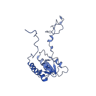 29275_8fld_LB_v1-0
Human nuclear pre-60S ribosomal subunit (State L1)