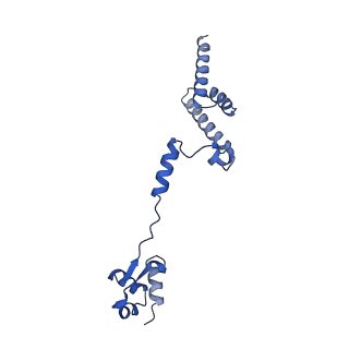 29275_8fld_LD_v1-0
Human nuclear pre-60S ribosomal subunit (State L1)