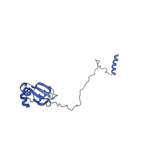 29275_8fld_LH_v1-0
Human nuclear pre-60S ribosomal subunit (State L1)