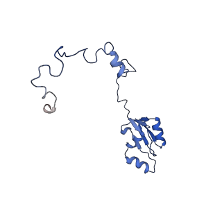 29275_8fld_LK_v1-0
Human nuclear pre-60S ribosomal subunit (State L1)