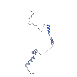 29275_8fld_LM_v1-0
Human nuclear pre-60S ribosomal subunit (State L1)