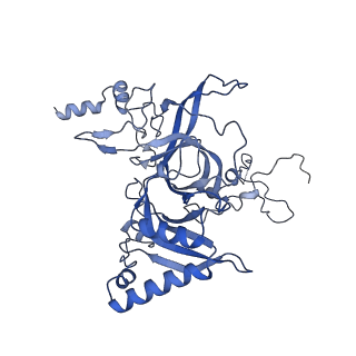 29275_8fld_LN_v1-0
Human nuclear pre-60S ribosomal subunit (State L1)
